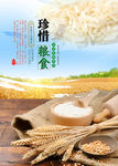 珍惜粮食海报
