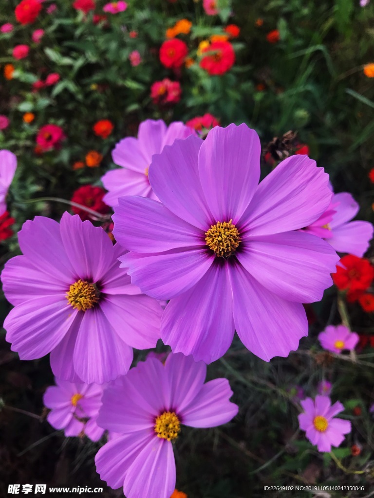 花