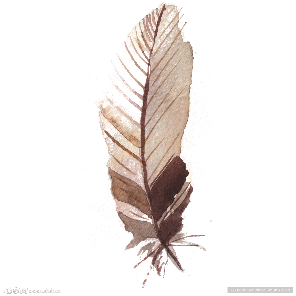 精美水彩绘画羽毛