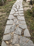 落叶小路