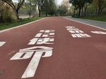 公园小路