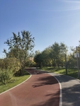 公园小路