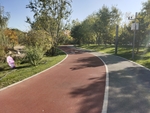 公园小路