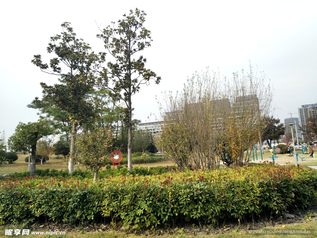自然风景