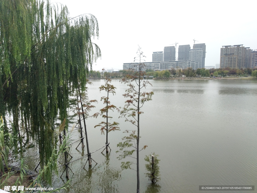 自然风景
