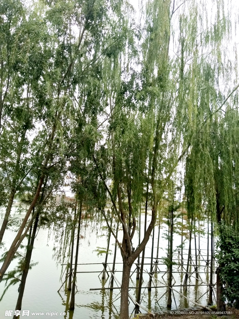自然风景
