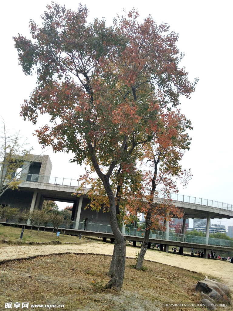 自然风景