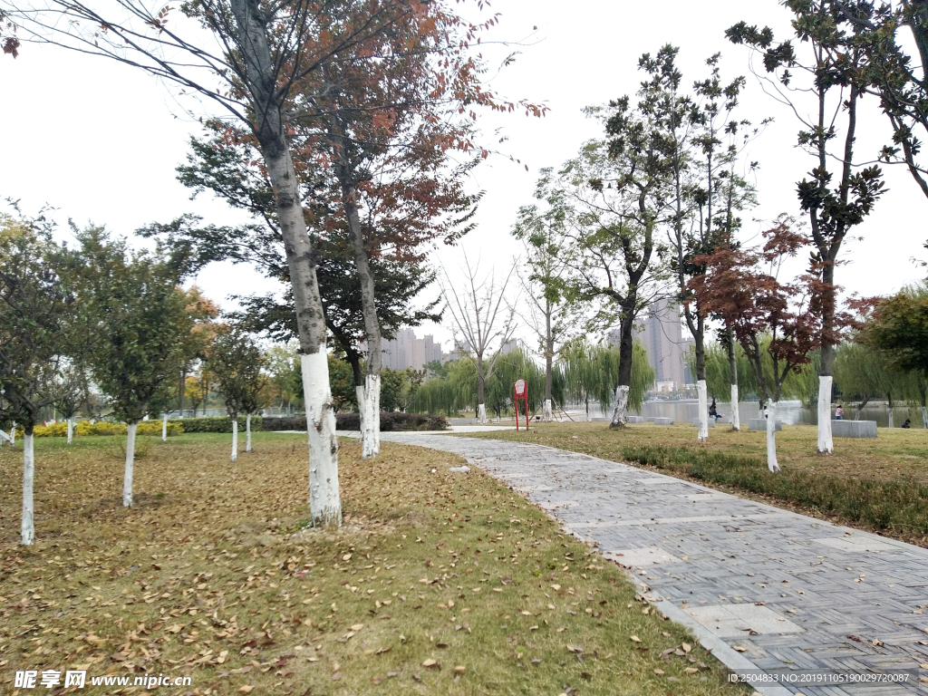 自然风景