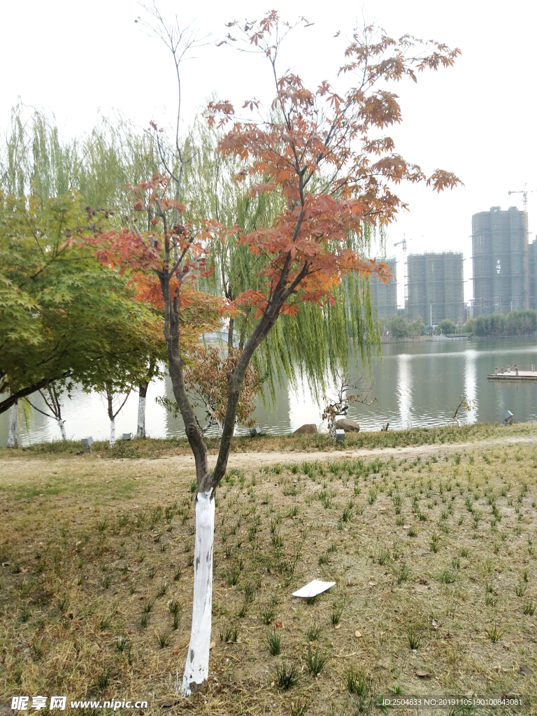 自然风景