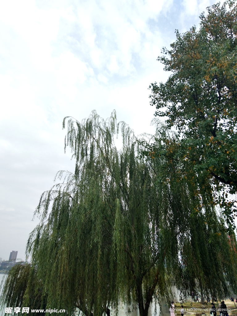 自然风景