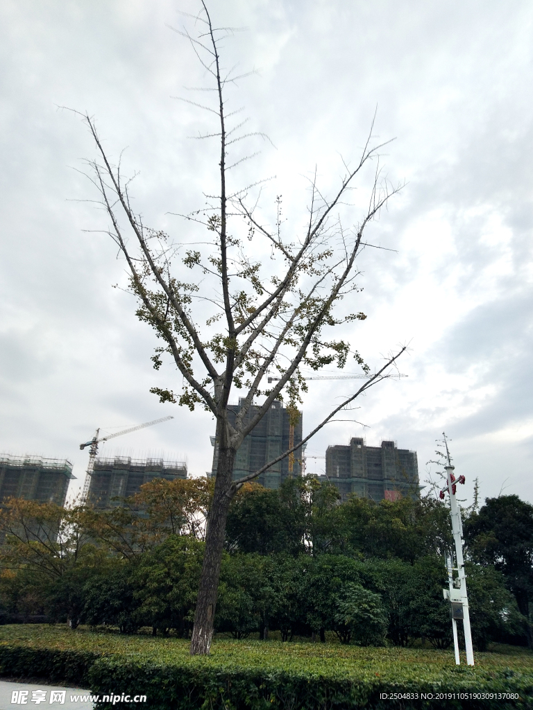 自然风景