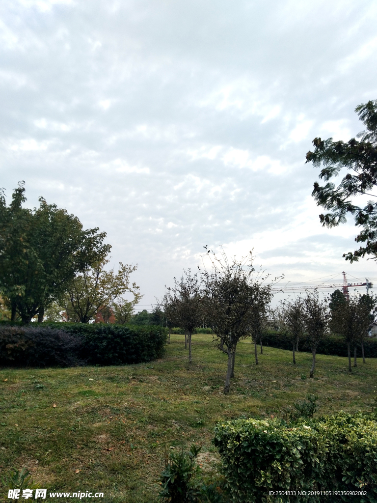 自然风景