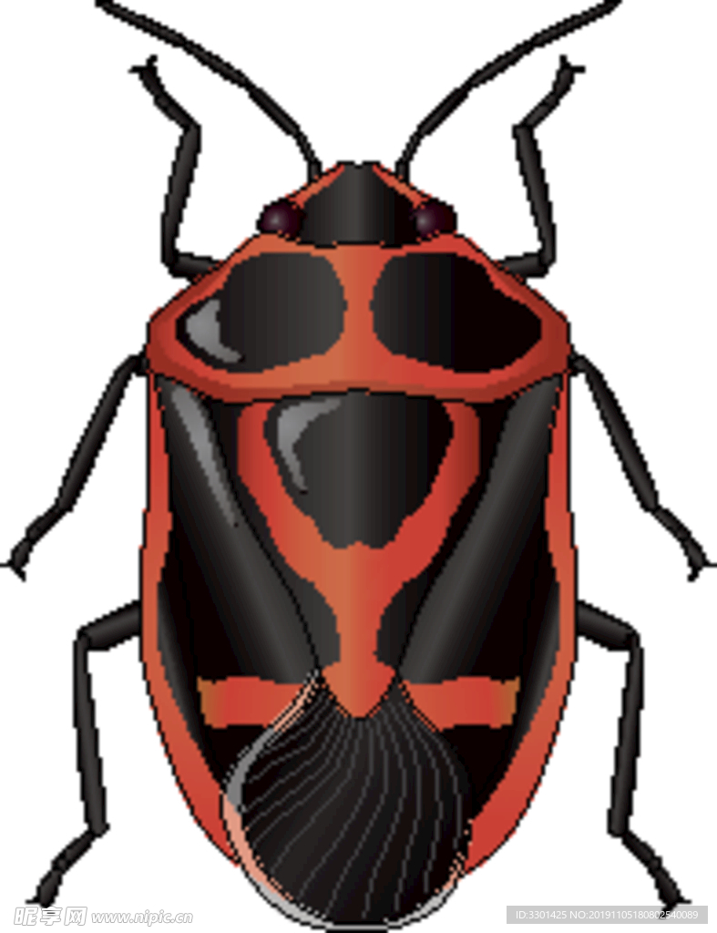昆虫系列 褐色甲壳虫