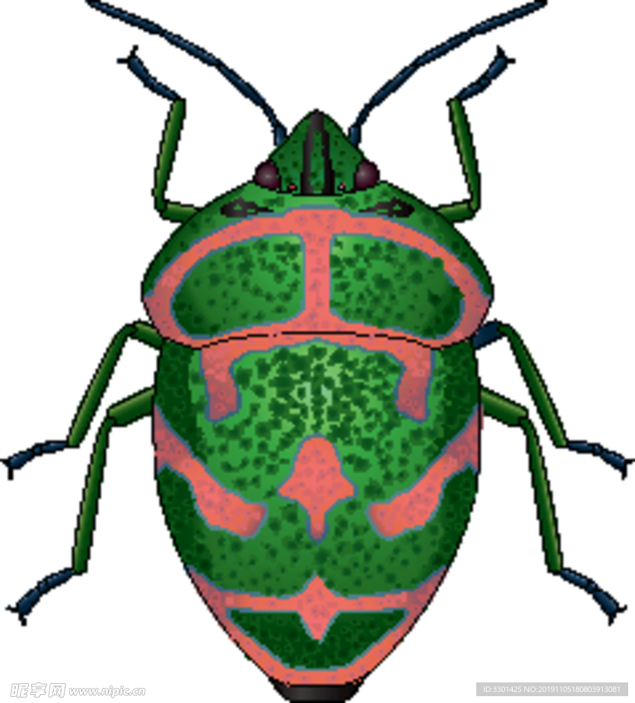 昆虫系列 绿色甲壳虫