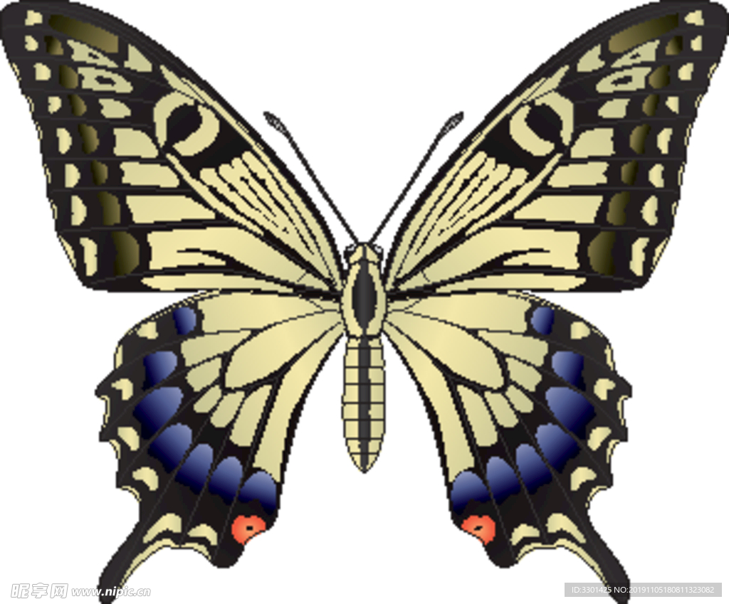 昆虫系列 黄色蓝色黑色蝴蝶