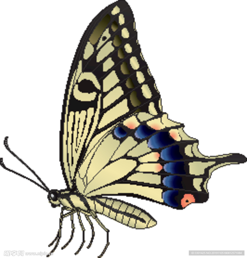 昆虫系列 黄色蝴蝶