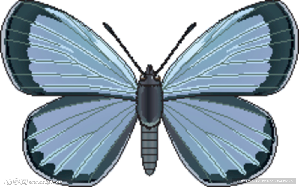 昆虫系列 蓝色蝴蝶