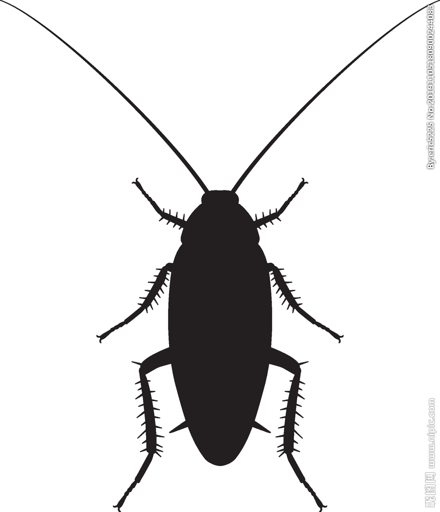 昆虫系列 蟑螂剪影