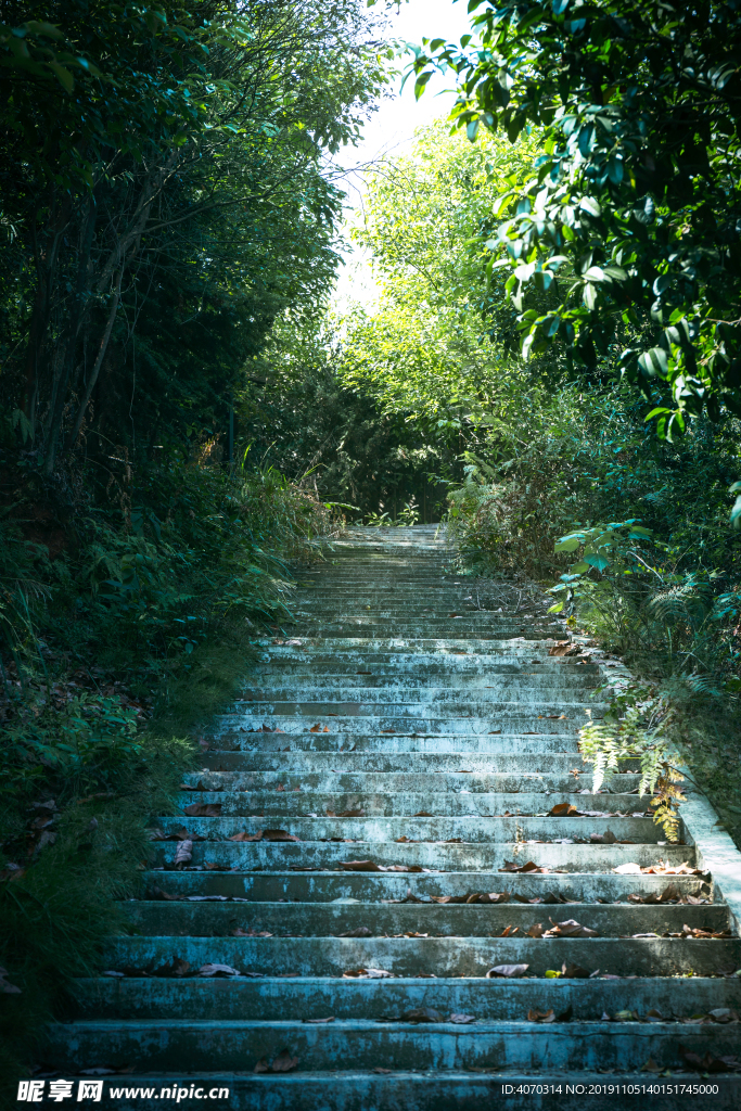 落叶台阶登山阶梯