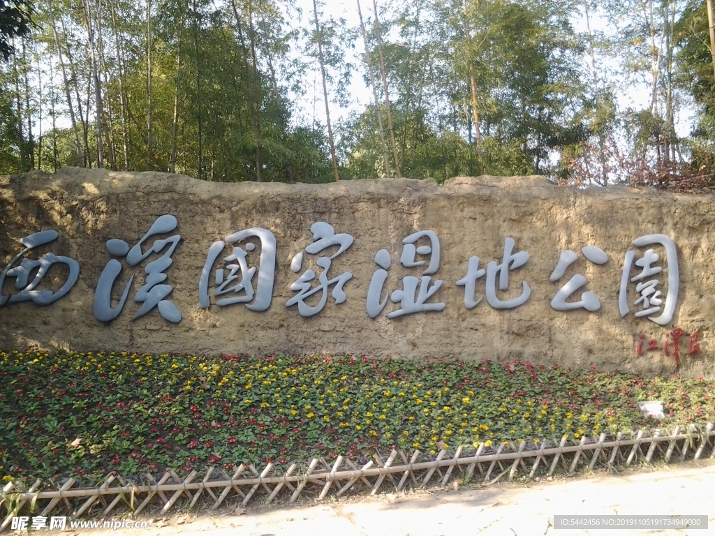 西溪湿地实景