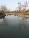 西溪湿地  实景拍摄 西溪