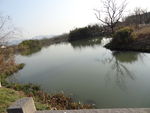 西溪湿地实景拍摄