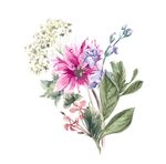 矢量花草