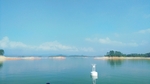 海天一色