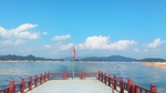 出海