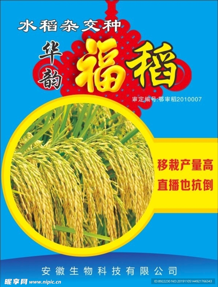 水稻彩页