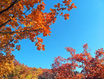 舞彩浅山
