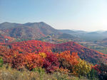 舞彩浅山