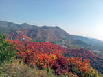 舞彩浅山