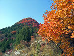 舞彩浅山