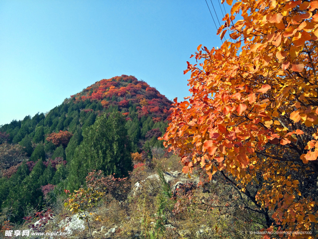 舞彩浅山