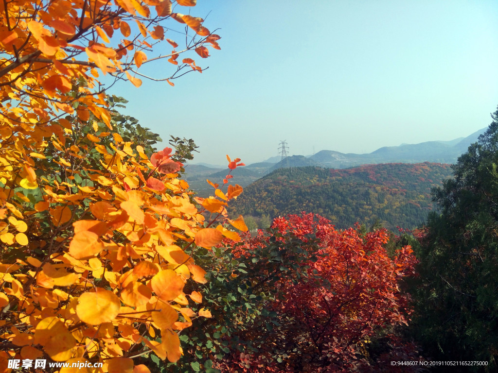 舞彩浅山