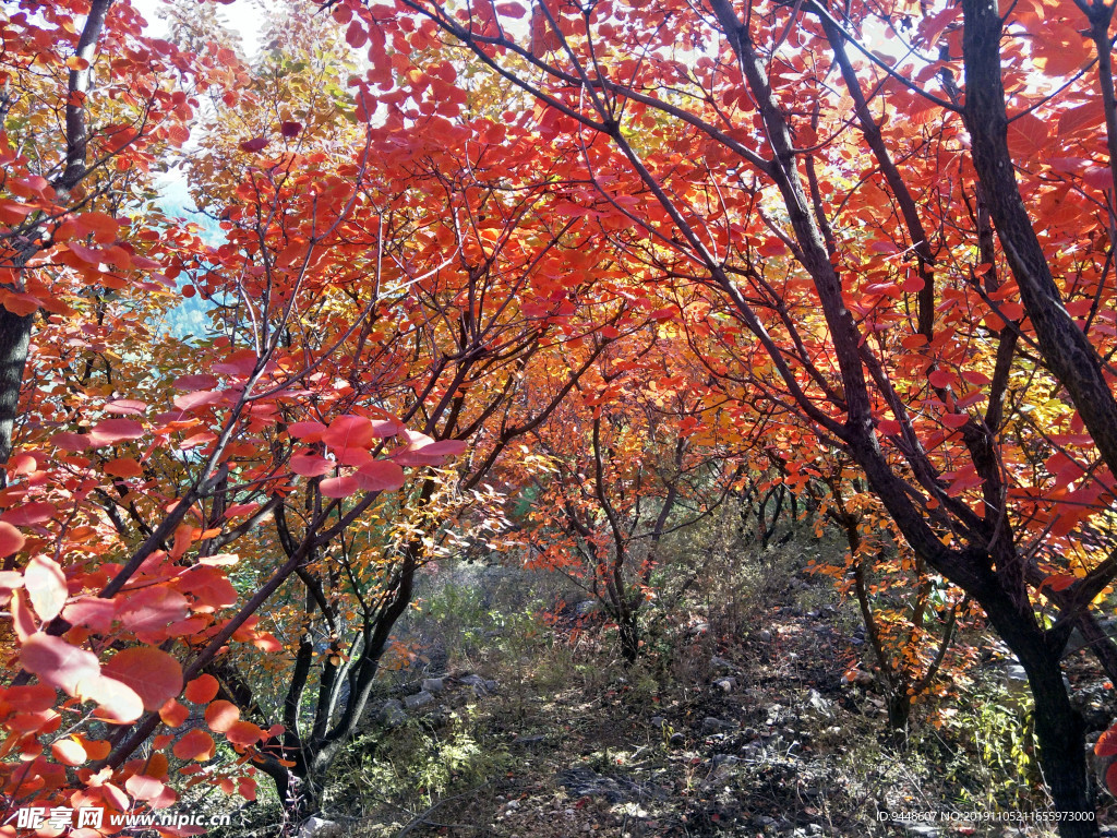 舞彩浅山