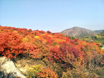 舞彩浅山