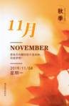 11月