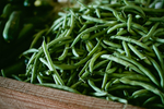 四季豆蔬菜
