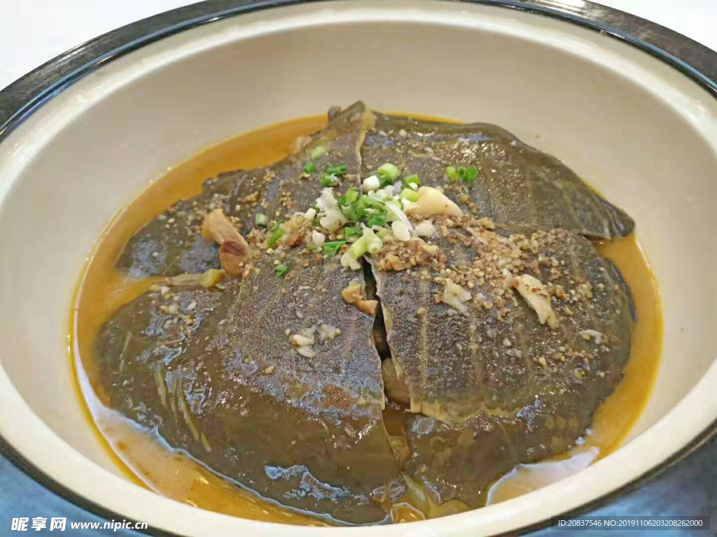 甲鱼
