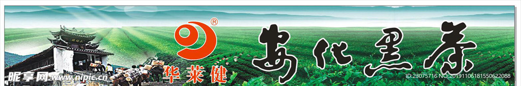 安化黑茶  华莱健  茶马古道