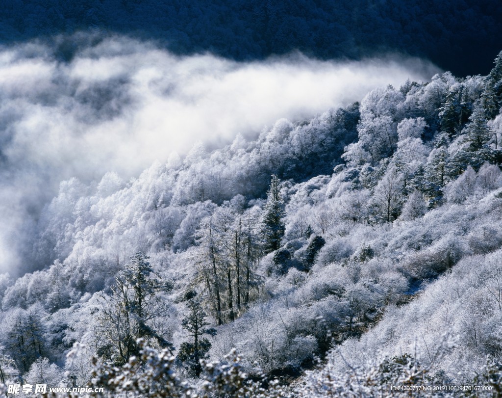 雪景