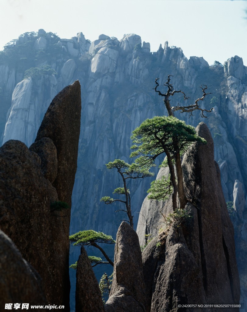 高山