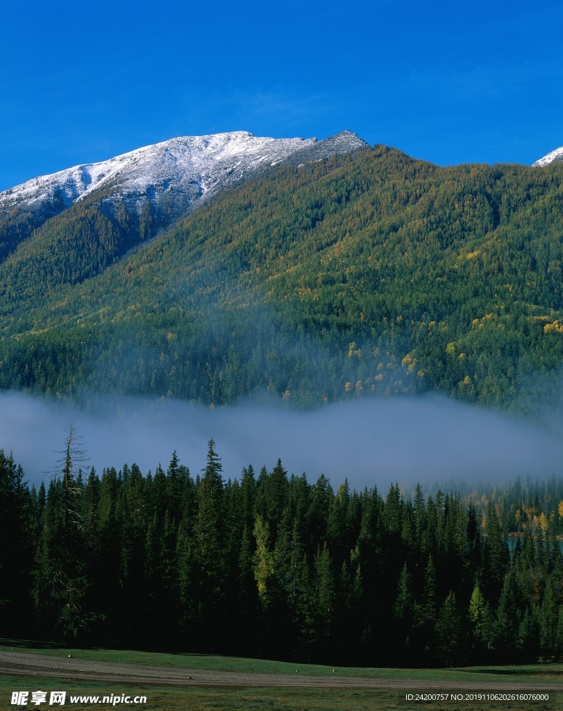 高山