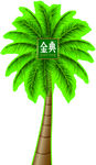 椰子树  绿色 异形