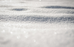 雪地