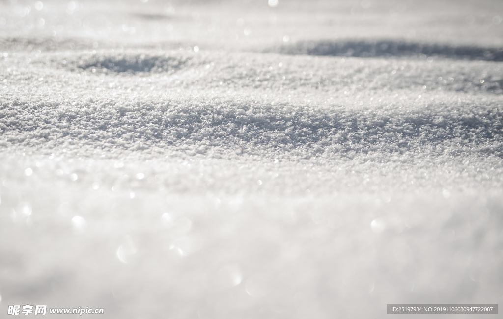 雪地