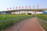 湿地公园