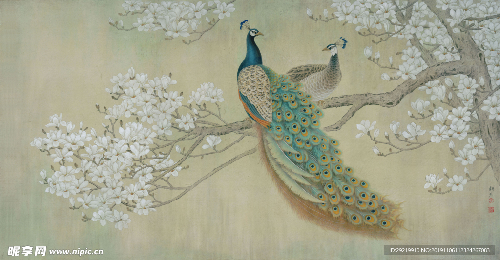 孔雀 花鸟